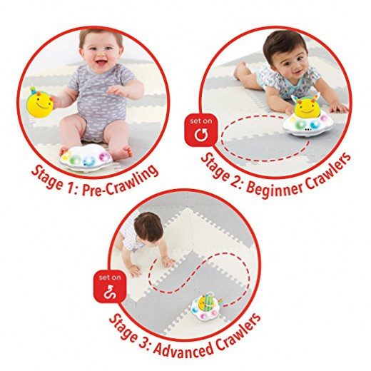 Skip Hop Explore & More Follow-Me Bee Crawl Toy