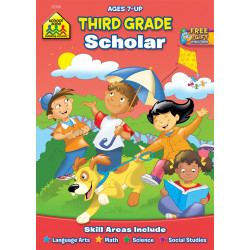 School Zone -Third Grade Scholar Workbook Ages 7 and Up