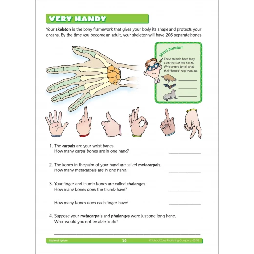 School Zone -Third Grade Scholar Workbook Ages 7 and Up