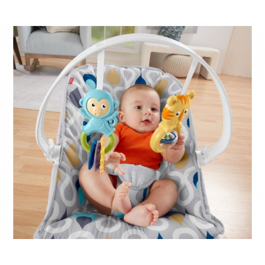Fisher Price Comfort Curve™ Bouncer