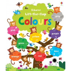 Usborne Lift the Flap Colours Book