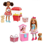 Barbie Chelsea Doll  Playset Assortment - 1 Pack - Random Selection