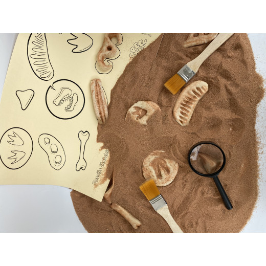 YIPPEE! Sensory Dinosaur Fossil Kit by Rahma