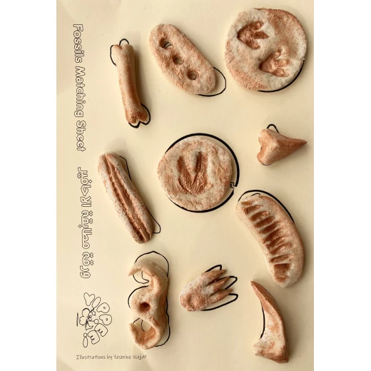 YIPPEE! Sensory Dinosaur Fossil Kit by Rahma