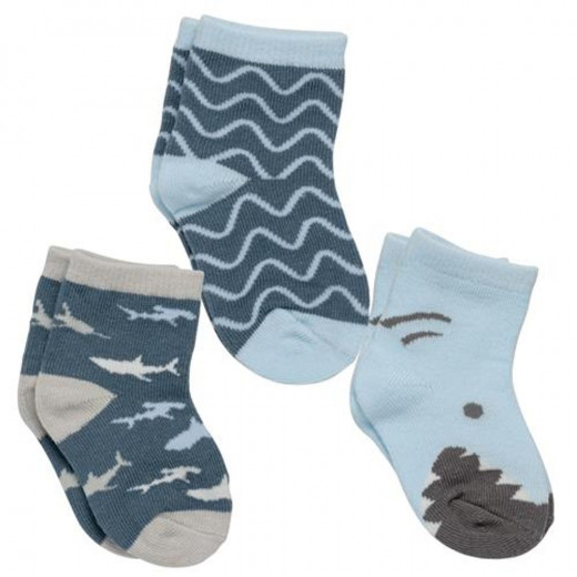 Stephen Joseph Boxed Socks Set Shark