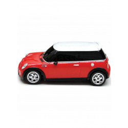 Rastar Minicoopers