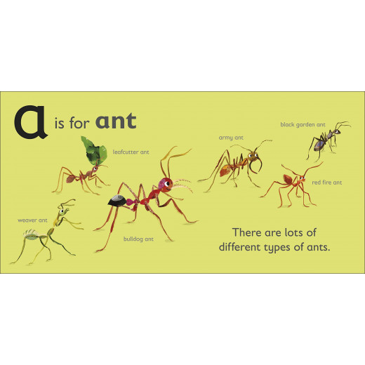 DK Book: A is for Ant