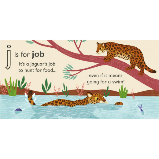 Dk Books Publisher Book : ( J ) Is For Jaguar