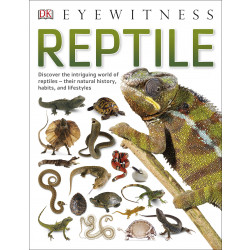 DK Books Publisher Reptile Book