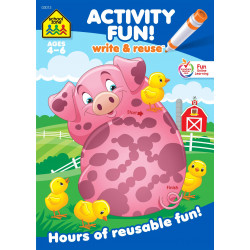 School Zone Book:Activity Fun! Write & Reuse Workbook