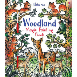 Usborne Woodland Magic Painting Book