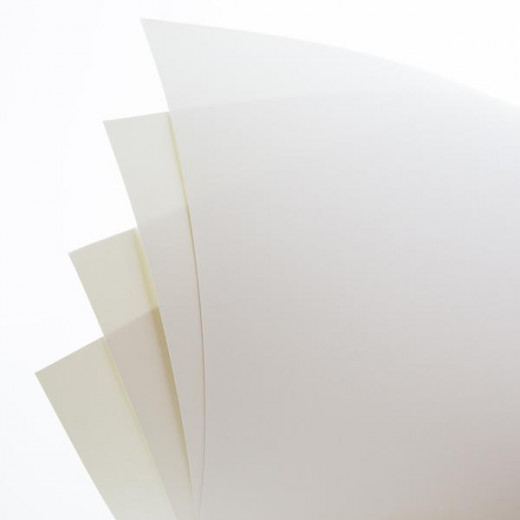 Bazic White Poster Board (5/Pack)