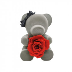 Teddy Bear with Forever Red Rose