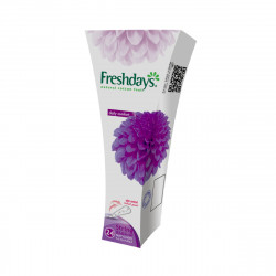 Freshdays Daily Comfort String Pantyliners,  24-Piece