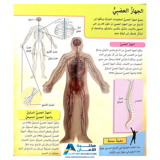 كتاب اكتشف جسم الانسان للاطفال