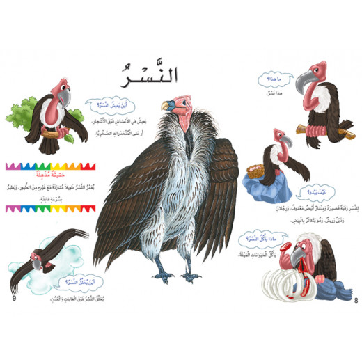 Dar Al Manhal My First Questions And Answers: Birds