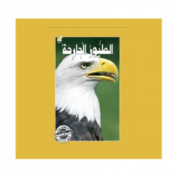 Dar Al Manhal Stories: The Amazing Animals of the World Series: Birds of Prey