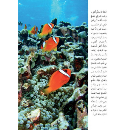 Dar Al Manhal Stories: The Amazing Animals Of the World Series: Fish