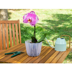 Madame Coco Angulaire Layer Flower Pot, 1.5 Liter