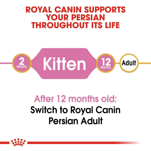 Royal Canin Kitten Persian Cats Food, 400 Gram