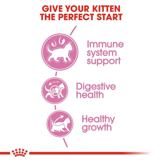 Royal Canin Kitten Cats Food, 400 Gram