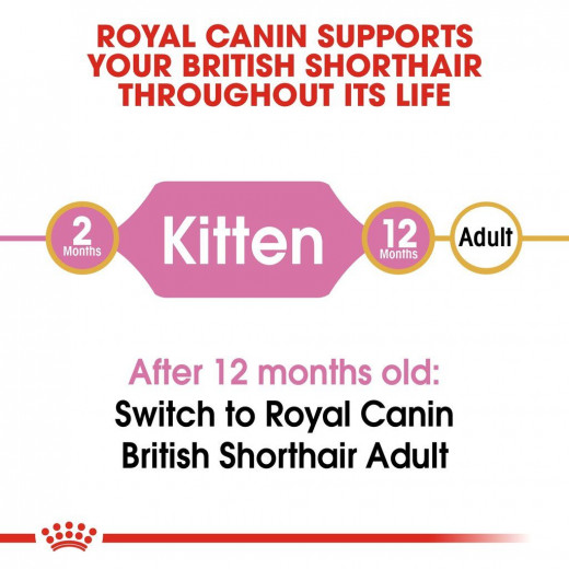 Royal Canin Kitten British Shorthair, 2 Kilo