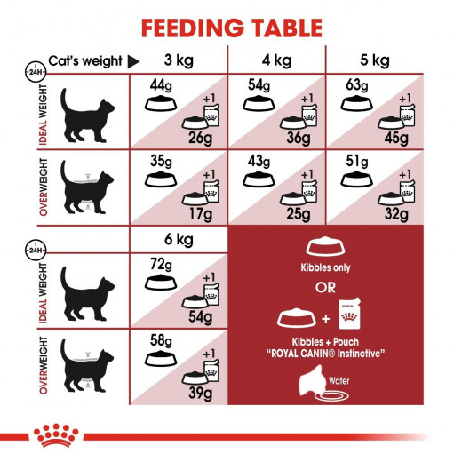 Royal Canin Regular Fit 32 Cat Food, 4 Kg