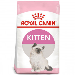 Royal Canin Kitten Food, 800 Gram