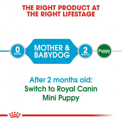 Royal Canin Shn Mini Starter, Dog Food, 1 Kg