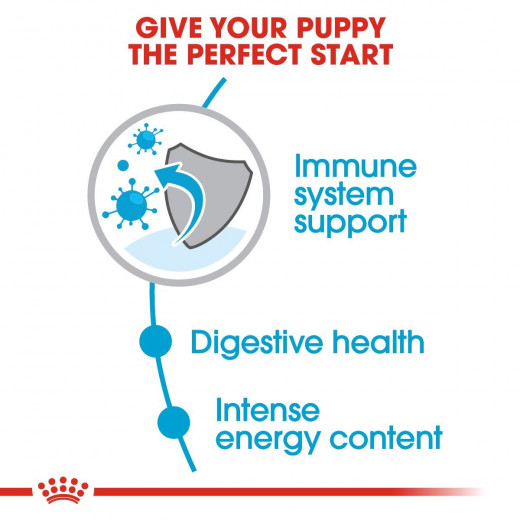 Royal Canin Mini Puppy Food, 2 Kg