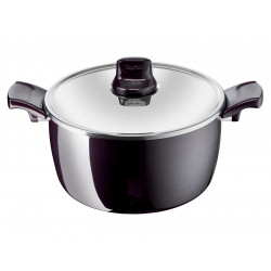 Tefal Resist Intense Stewpot, 22 Cm