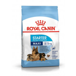 Royal Canin Maxi Starter, 4 Kg