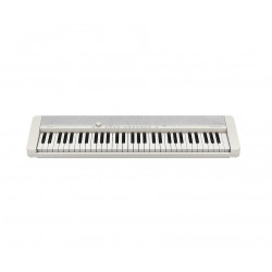 Casio Portable Keyboard, White Color,  61 Keys