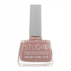 Seventeen Studio Rapid Dry Long lasting Color, Shade 101