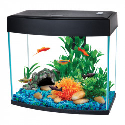 Basic 14P Glass Tank, Black