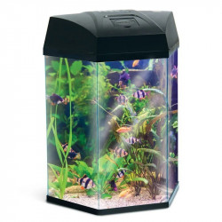 Basic 22 Hexagon Glass Tank With LED Light, Black