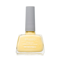 Seventeen Studio Rapid Dry Lasting Color, Number 27