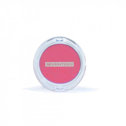 Seventeen Natural Matte Silky Blusher, Number 6