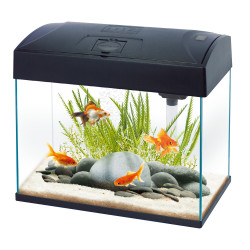 Basic 54 Glass Tank, Black