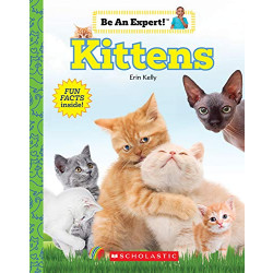 Kittens, Be An Expert, paperback