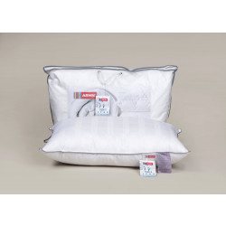 ARMN Primer Down Pillow