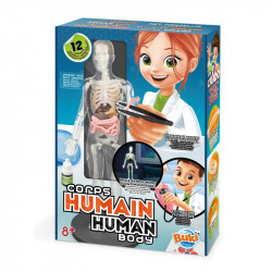 Buki Play Sets, Human Body