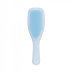 Tangle Teezer Wet Detangling Hairbrush Mini, Blue & Lilac