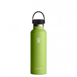 Hydro Flask 18 Oz Standard Flex Cap, Seagrass, 532 Ml