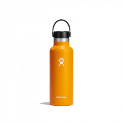 Hydro Flask 18 Oz Standard Flex Cap, Starfish, 532 Ml