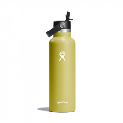 Hydro Flask 21 Oz Standard Flex Straw Cap, Cactus, 621 Ml