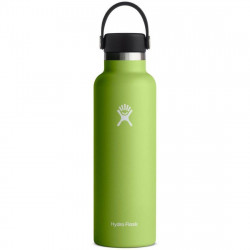 Hydro Flask 21 Oz Standard Flex Cap, Seagrass, 621 Ml