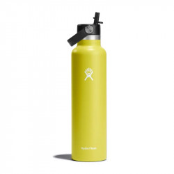 Hydro Flask 21 Oz Standard Flex Cap, Cactus, 621 Ml