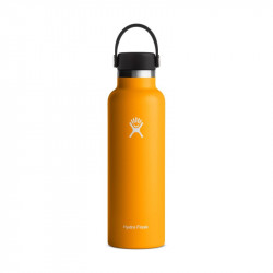 Hydro Flask 21 Oz Standard Flex Cap, Starfish, 621 Ml