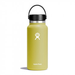 Hydro Flask 32 oz. Wide Mouth Insulated Bottle, Cactus,946 ml